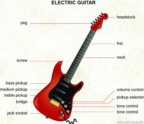 Electric guitar  (Visual Dictionary)